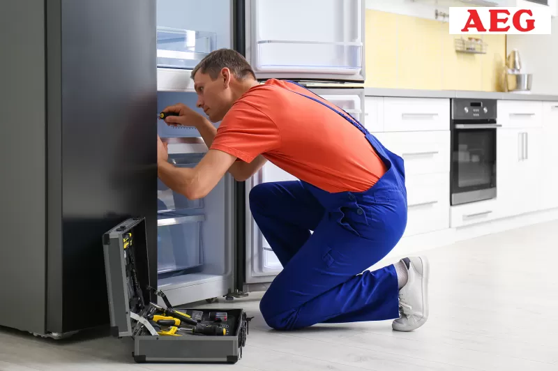 صيانة ثلاجات ايه اي جي